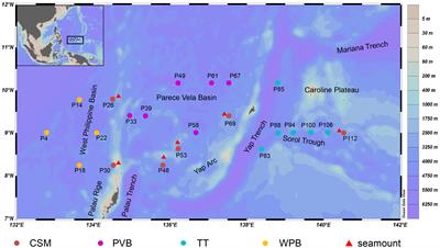 Metazoan diversity and community assemblages in sediments across a Western Pacific Trench-Arc-Basin system: insights from eDNA metabarcoding